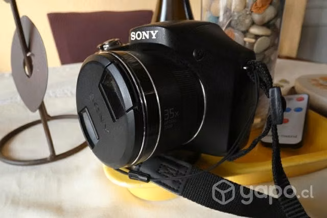 Sony DSC H300