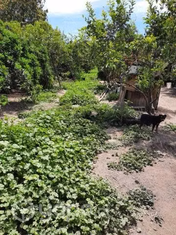 Se vende terreno agrícola