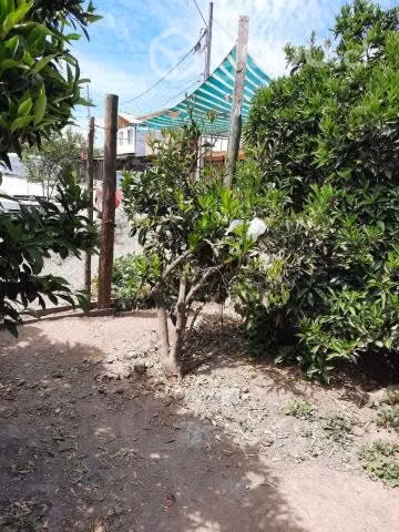 Se vende terreno agrícola