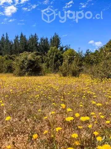 Parcelas Ñiquen