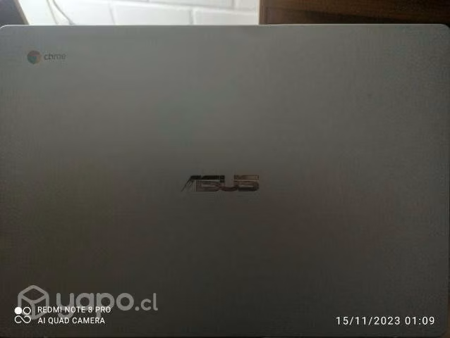 Asus. Chome