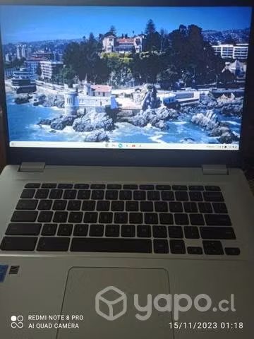 Asus. Chome