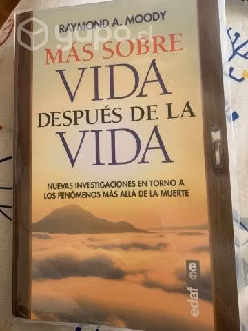 Más sobre vida después de la vida