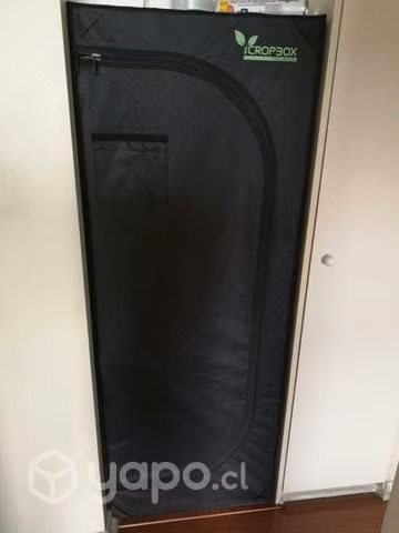 Indoor Carpa O SE PERMUTA POR PROYECTOR
