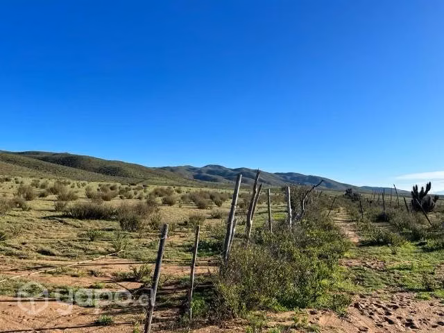 6,6 hectáreas de terreno en punilla - Imagen 2