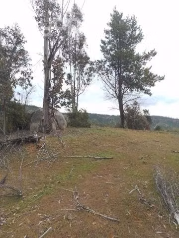 Se vende terreno a 30 kms de constitucion