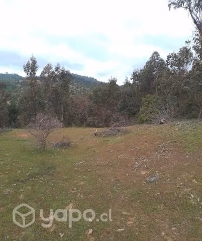 Se vende terreno a 30 kms de constitucion
