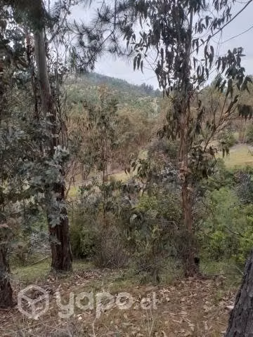 Se vende terreno a 30 kms de constitucion
