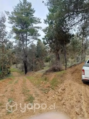 Se vende terreno a 30 kms de constitucion