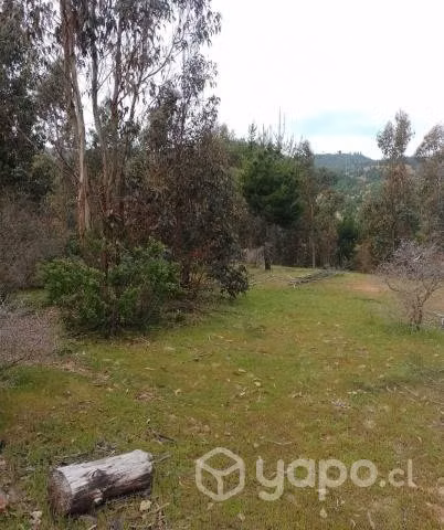 Se vende terreno a 30 kms de constitucion