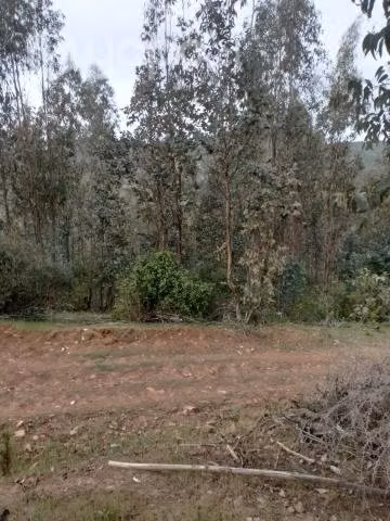 Se vende terreno a 30 kms de constitucion