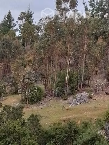 Se vende terreno a 30 kms de constitucion