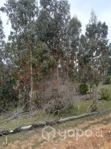 Se vende terreno a 30 kms de constitucion