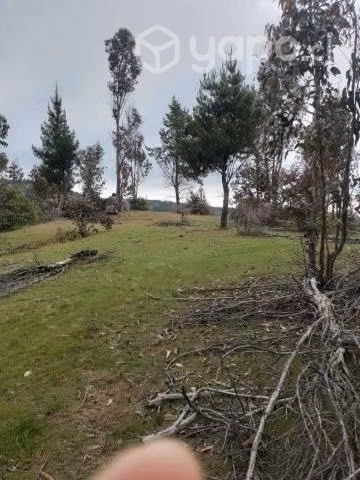 Se vende terreno a 30 kms de constitucion