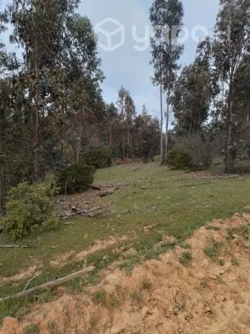 Se vende terreno a 30 kms de constitucion