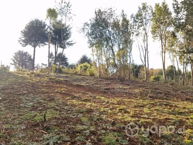 Parcela en Sector Casablanca