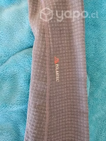 Polar Montane
