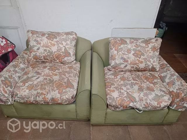Living antiguo cojines de Pluma