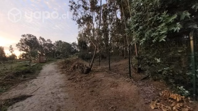 Venta de parcela luz agua potable casa - Imagen 4