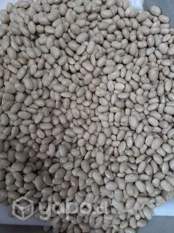 Porotos tortolas
