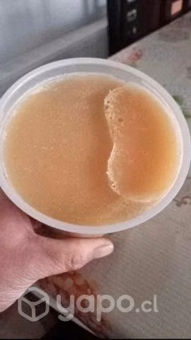 Miel multifloral 100% pura sin adulterar