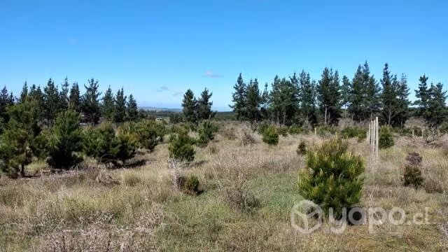 Parcela en San Nicolás 5000 m2 - Imagen 6