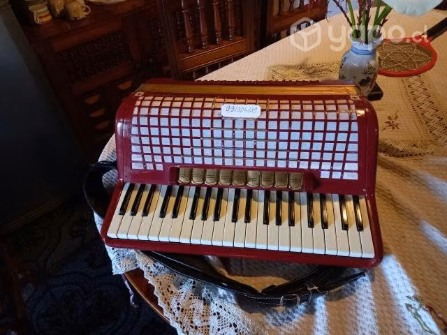 Acordeon HOHNER 120 Bajos. - Imagen 3