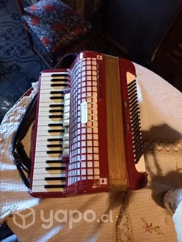 Acordeon HOHNER 120 Bajos. - Imagen 2
