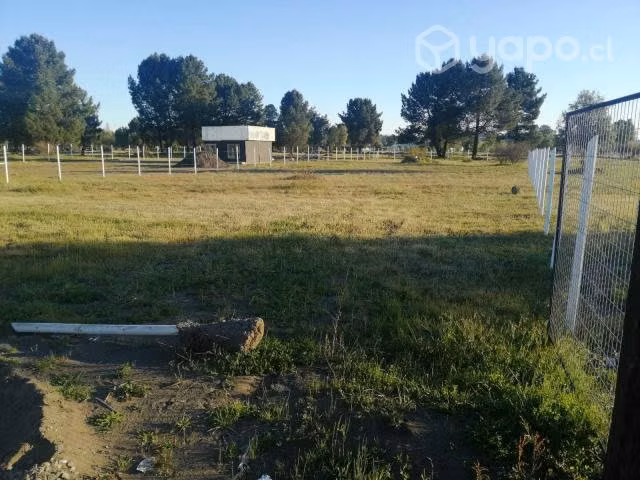 Venta de terreno comercial de 2.000 m2 en quillon