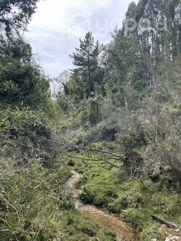 Parcela sector Los Ulmos