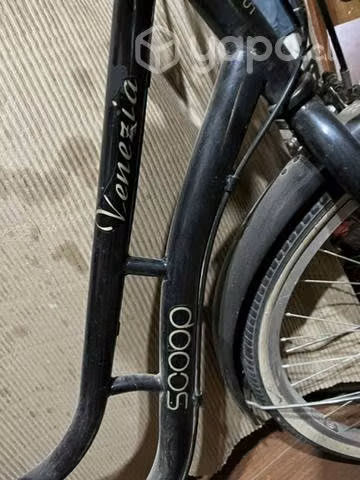 Bicicleta de paseo