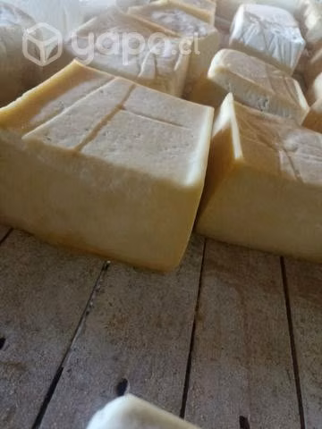 Quesos caseros - Imagen 2
