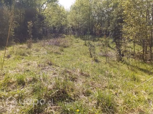 Terreno sector pumol
