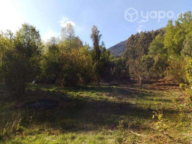 Terreno sector pumol - Imagen 2