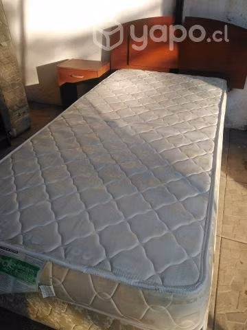 Cama