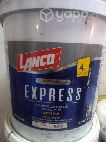 Latex acrlico profesional color blanco marca lanco