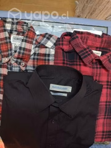 Camisas escoces