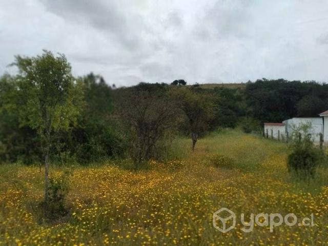 Parcela en Litueche