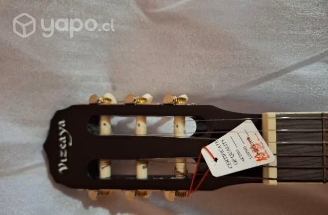 Guitarra acustica - Imagen 3