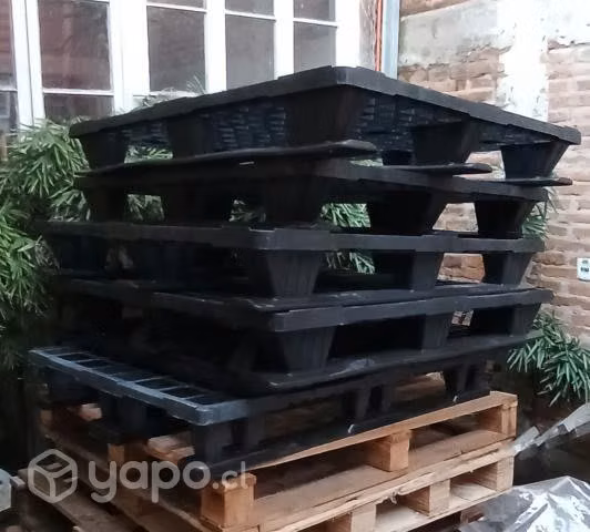 Pallet plastico 120x80 cm