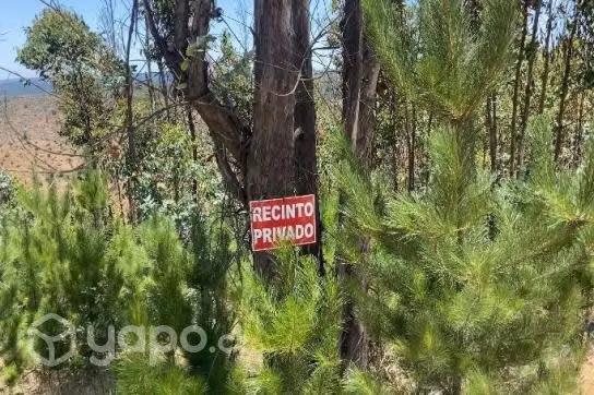 Excelente parcela