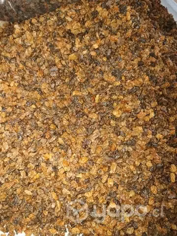 Pasas rubias