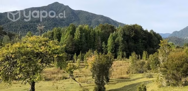 Terreno de 12,5 Hectáreas en Puerto Montt