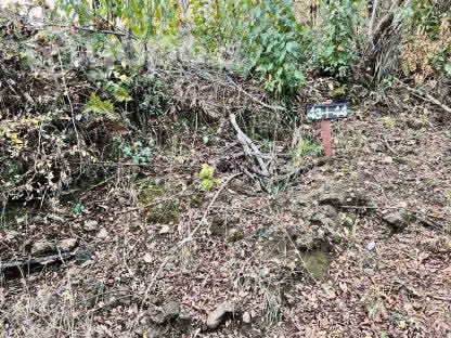 Hermosa Parcela cerca Pucón (Currarehue)