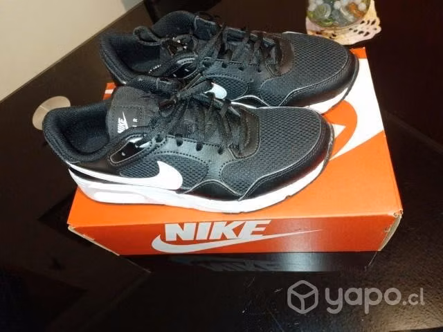 Nike Air Max