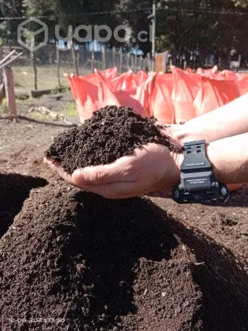 Tierra de hojas vegetal