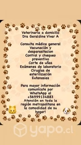 Veterinaria a domicilio