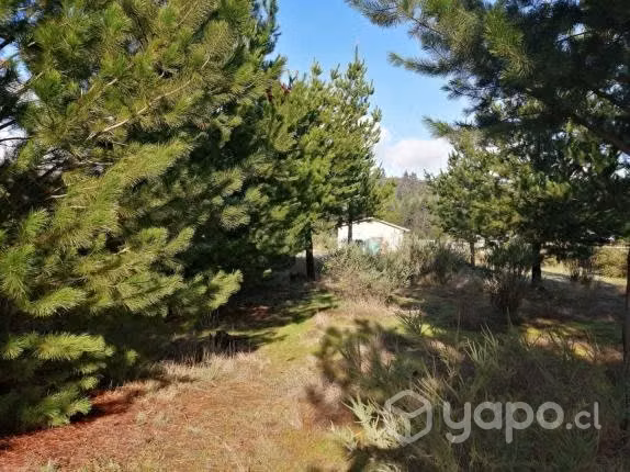 Parcela 5000mts/2 con casa