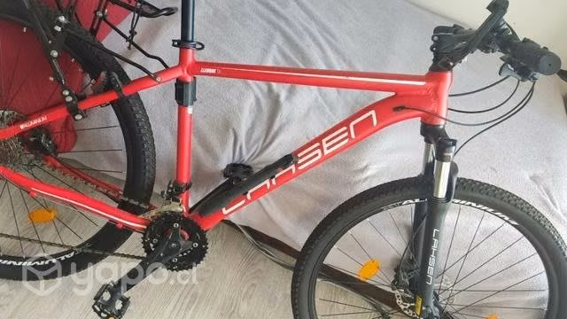 Bicicleta mtb lleuque tx 29