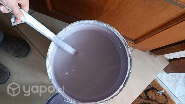 Tineta sipa
